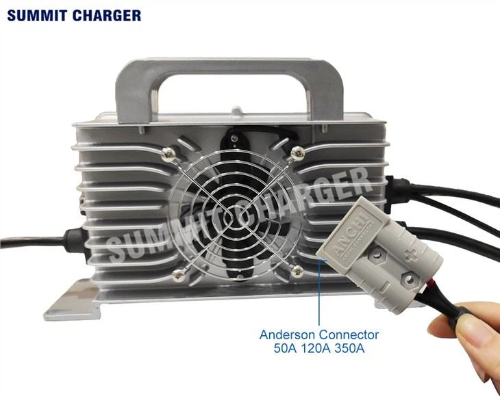 Cargador LifePO4 de 36 V